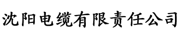 无码中文精品专区一区二区电缆厂logo